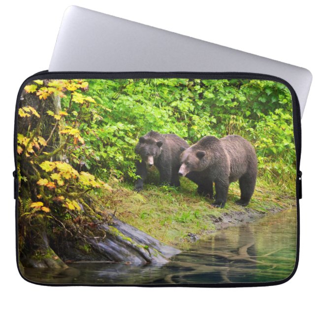 Brauner Bär & Cub | Hyder, Alaska Laptopschutzhülle (Vorderseite)