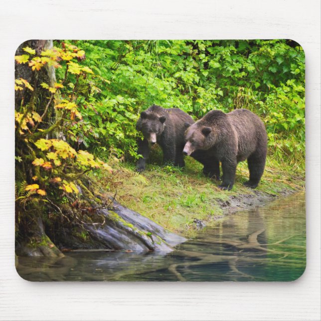 Brauner Bär & Cub | Hyder, Alaska Mousepad (Vorne)