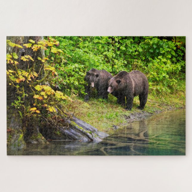 Brauner Bär & Cub | Hyder, Alaska Puzzle (Horizontal)