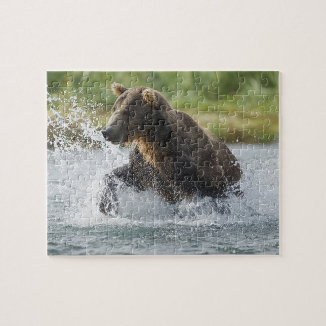 Brauner Bär, der Lachs im Fluss jagt Puzzle (Horizontal)
