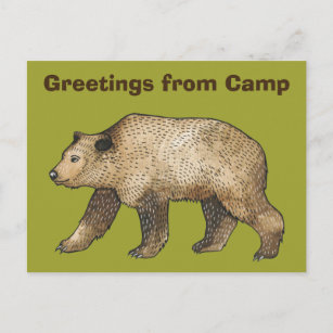 Brauner Bär Gruß aus Camp Postcard Postkarte
