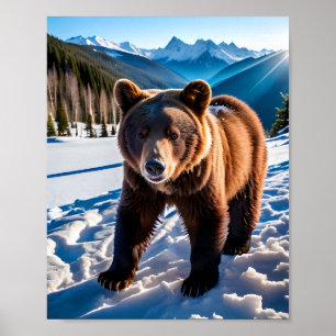 Brauner Bär im Schnee Poster