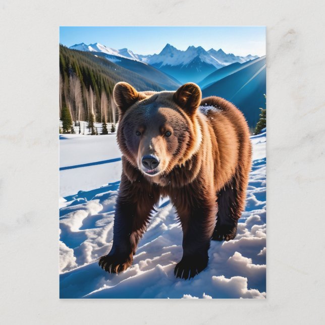Brauner Bär im Schnee Postkarte (Vorderseite)