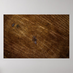 Brauner Baumstamm Poster