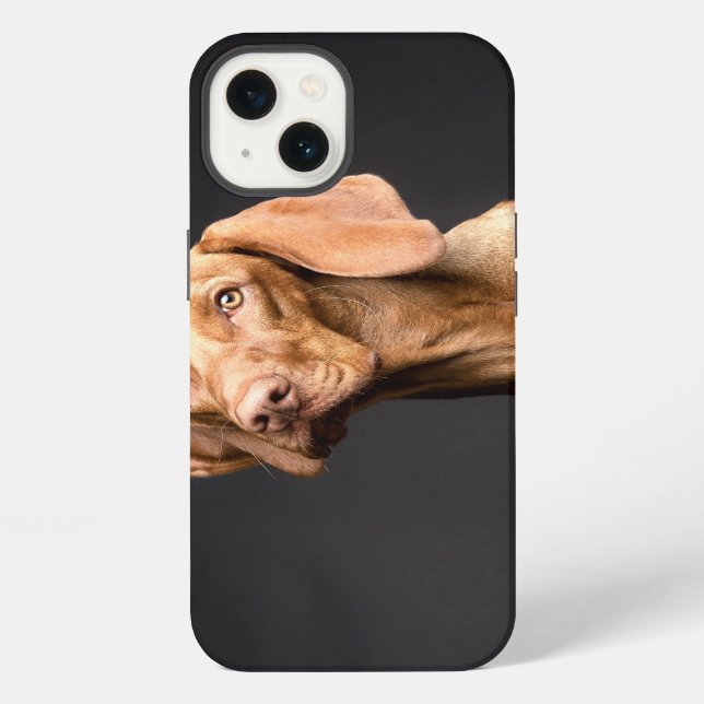 Brauner Beagle-Hund iPhone Hülle (Rückseite)