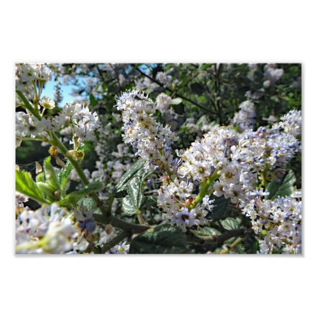 Brauner Berg Fotodruck (Vorne)