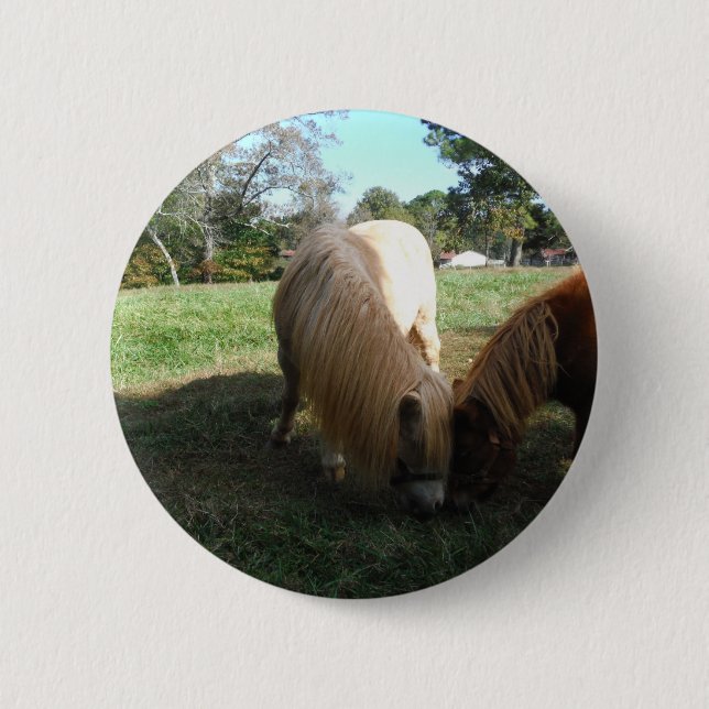 Brauner Blond", Miniaturpferde"Zwei kleine Ponys Button (Vorderseite)