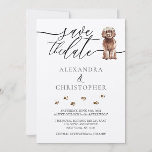 Brauner Cavapoo-Welpe Hochzeits-Kalligrafieschrift Save The Date