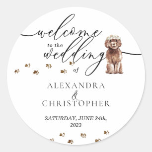Brauner Cavapoo-Welpe Hund Hochzeit Willkommen Runder Aufkleber