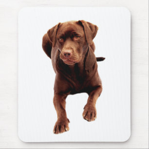 Brauner Chocolate Labrador Retriever Hund Mauspad