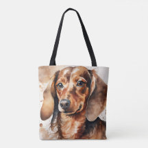 Brauner Dachshund
