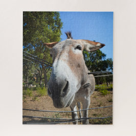 Brauner Esel-Portrait an einem sonnigen Sommertag Puzzle