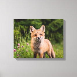 Brauner Fox auf grünem Gras Leinwanddruck