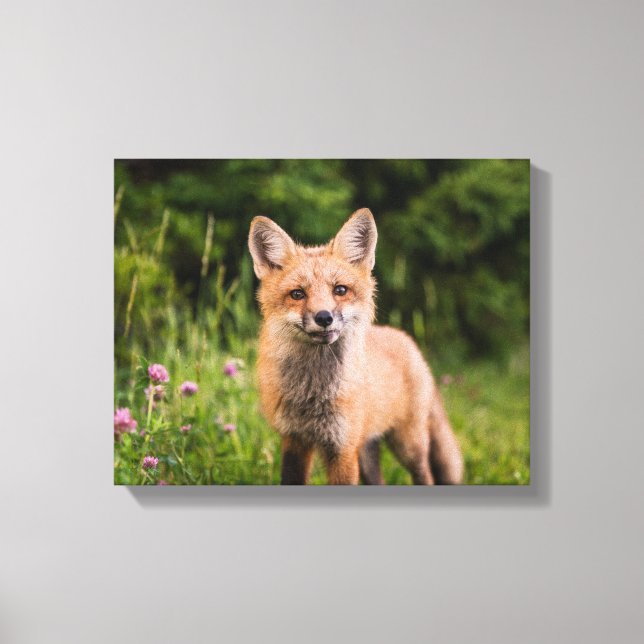 Brauner Fox auf grünem Gras Leinwanddruck (Vorderseite)