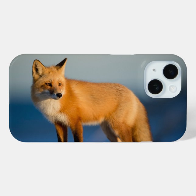 Brauner Fuchs Case-Mate iPhone Hülle (Rückseite (Horizontal))