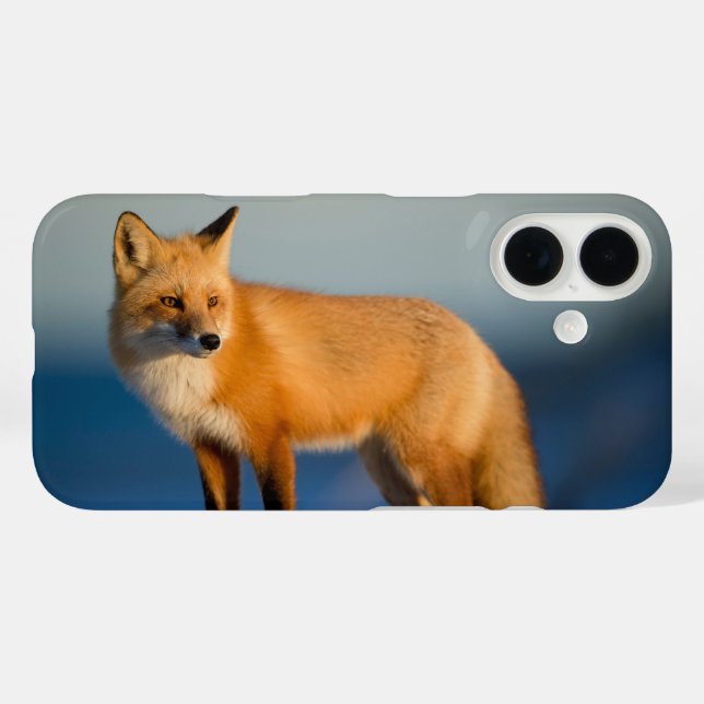 Brauner Fuchs Case-Mate iPhone Hülle (Rückseite (Horizontal))