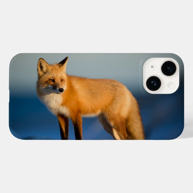 Brauner Fuchs iPhone 14 Hülle (Rückseite (Horizontal))