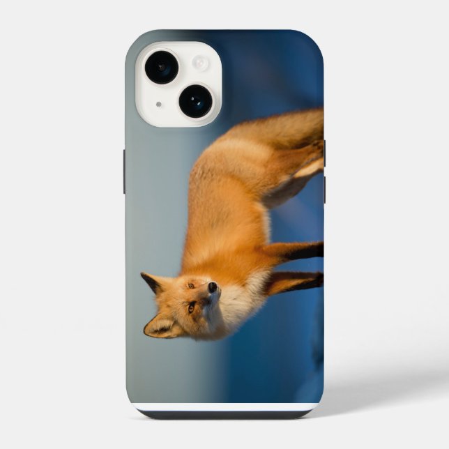 Brauner Fuchs iPhone 14 Hülle (Rückseite)