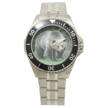 Brauner Grizzlybär beim Wald