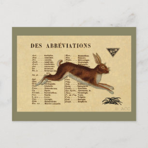 Brauner Kaninchen Postkarte