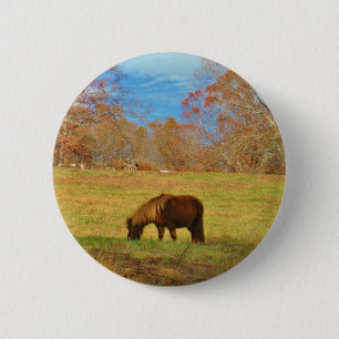 Brauner Miniaturpony Button
