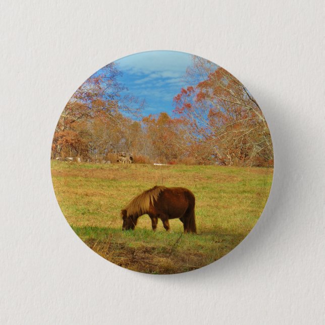 Brauner Miniaturpony Button (Vorderseite)