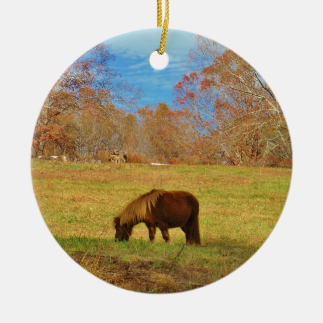 Brauner Miniaturpony Keramikornament (Vorne)