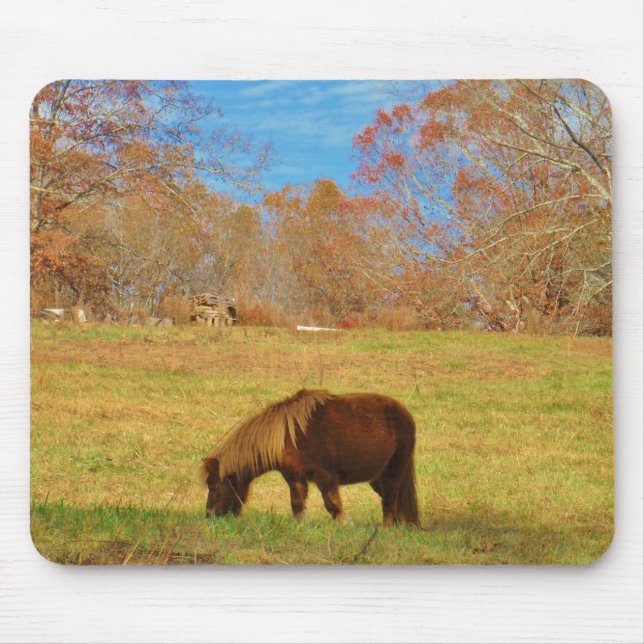 Brauner Miniaturpony Mousepad (Vorne)