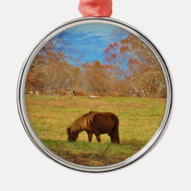 Brauner Miniaturpony Silbernes Ornament (Vorne)
