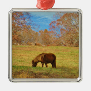 Brauner Miniaturpony Silbernes Ornament