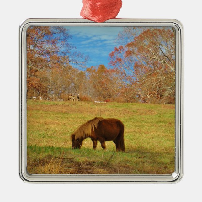 Brauner Miniaturpony Silbernes Ornament (Vorne)