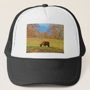 Brauner Miniaturpony Truckerkappe