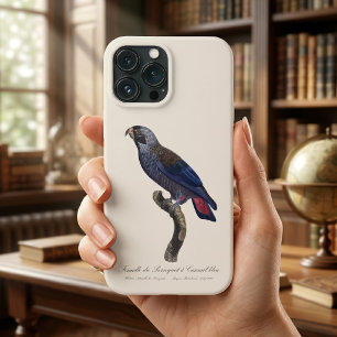 Brauner Papagei oder Brauner Pionus, Pionus fuscus Case-Mate iPhone Hülle