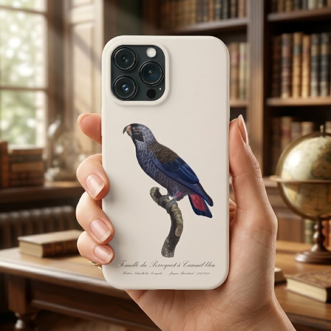 Brauner Papagei oder Brauner Pionus, Pionus fuscus Case-Mate iPhone Hülle (Dusky Parrot or Dusky Pionus, Pionus fuscus. iPhone Case)