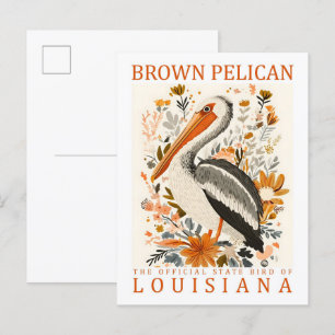 Brauner Pelikan Vogel von Louisiana USA Reise Postkarte