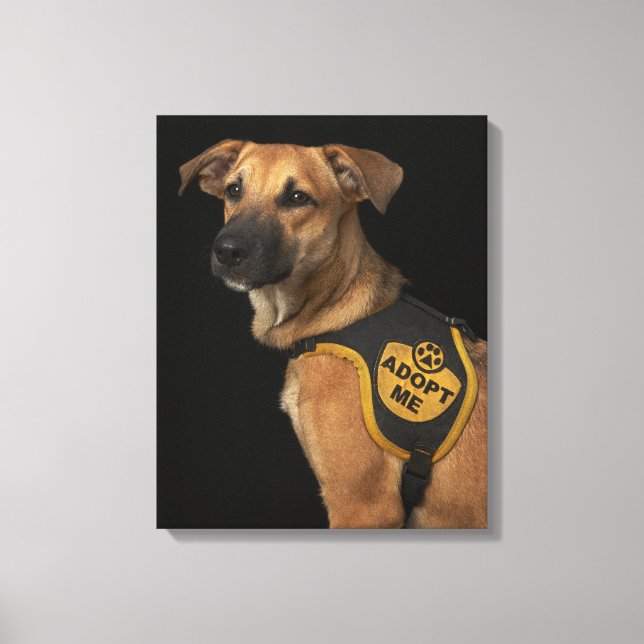 Brauner Rettungshund mit adoptiert Weste Leinwanddruck (Vorderseite)
