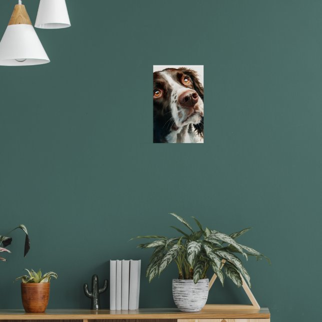 Brauner Springer Spaniel  Poster (Wohnzimmer 1)