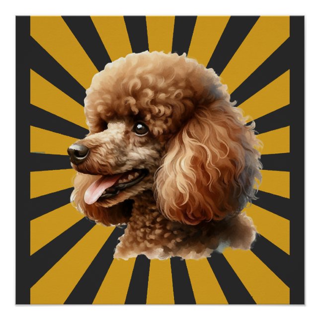 Brauner Standard Pudel Retro Sunburst Poster (Vorderseite)