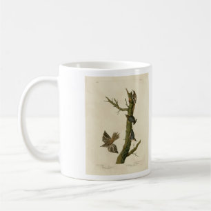 Brauner Strampler, Pygmäen-Nuthatch von Audubons V Kaffeetasse