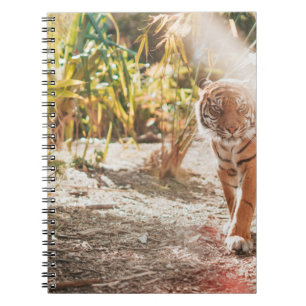 BRAUNER TIGER IN SCHREITENDER GESTE NOTIZBLOCK