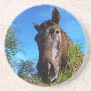 Brauner und cremefarbener Himmel Getränkeuntersetzer