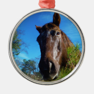 Brauner und cremefarbener Himmel Silbernes Ornament