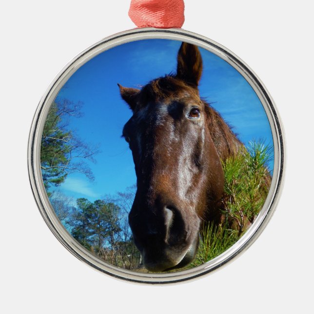 Brauner und cremefarbener Himmel Silbernes Ornament (Vorne)