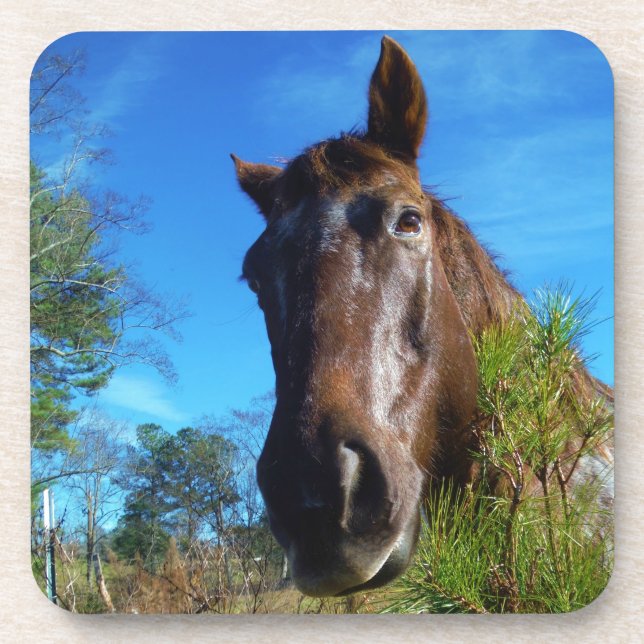 Brauner und cremefarbener Himmel Untersetzer (Vorderseite)