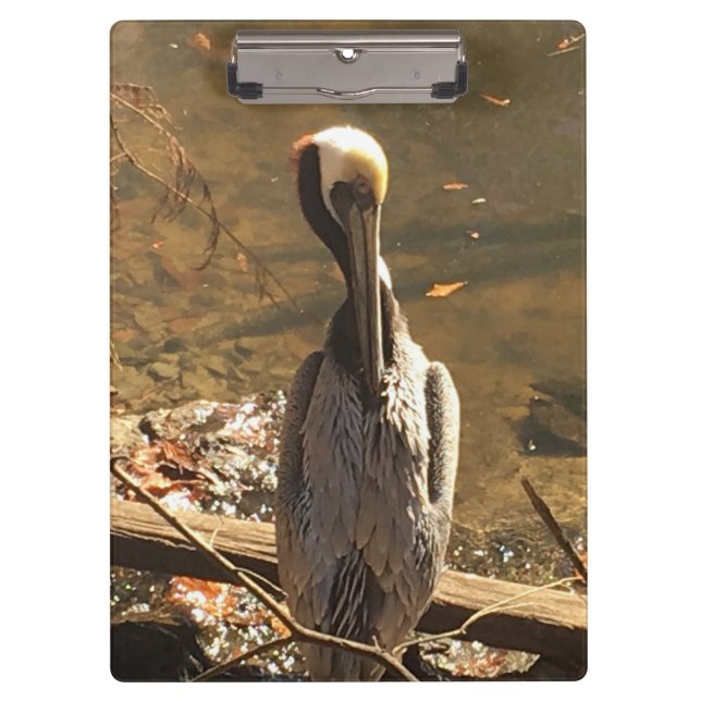 Brauner und grauer Vogel mit langem Schnabel Klemmbrett (Vorderseite)