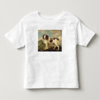 Brauner und weißer Norfolk oder Wasser Spaniel, 17