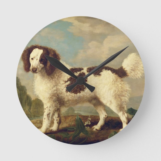 Brauner und weißer Norfolk oder Wasser Spaniel, 17 Runde Wanduhr (Vorderseite)