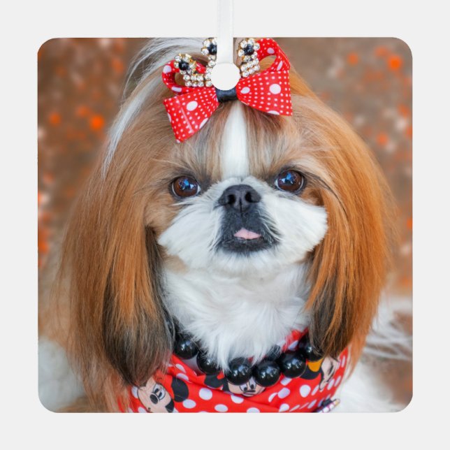 Brauner und weißer Schih Tzu Welpenhund Ornament Aus Metall (Vorderseite)