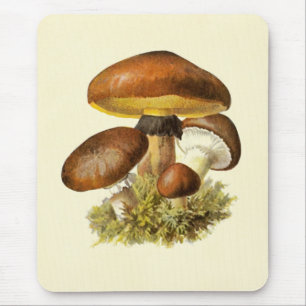 Brauner Vintage-Pilz Mousepad