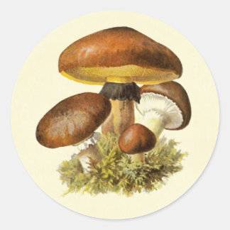 Brauner Vintage-Pilz Runder Aufkleber